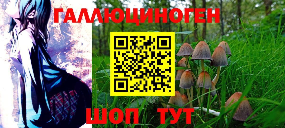 Галлюциногенные грибы Psilocybe  Вход с VPN  Торжок  Галлюциногенные грибы MAGIC MUSHROOMS 