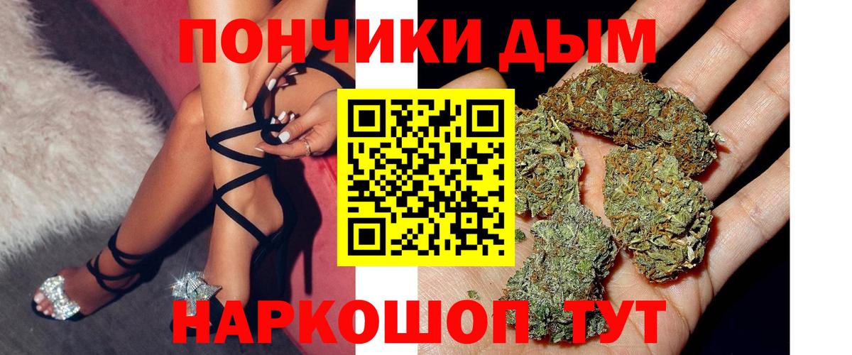 Бошки Шишки план Торжок