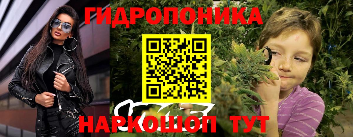 Бошки Шишки план  Каннабис ГИДРОПОН  Вход с VPN  Торжок  МАРИХУАНА марихуана  Конопля планчик 